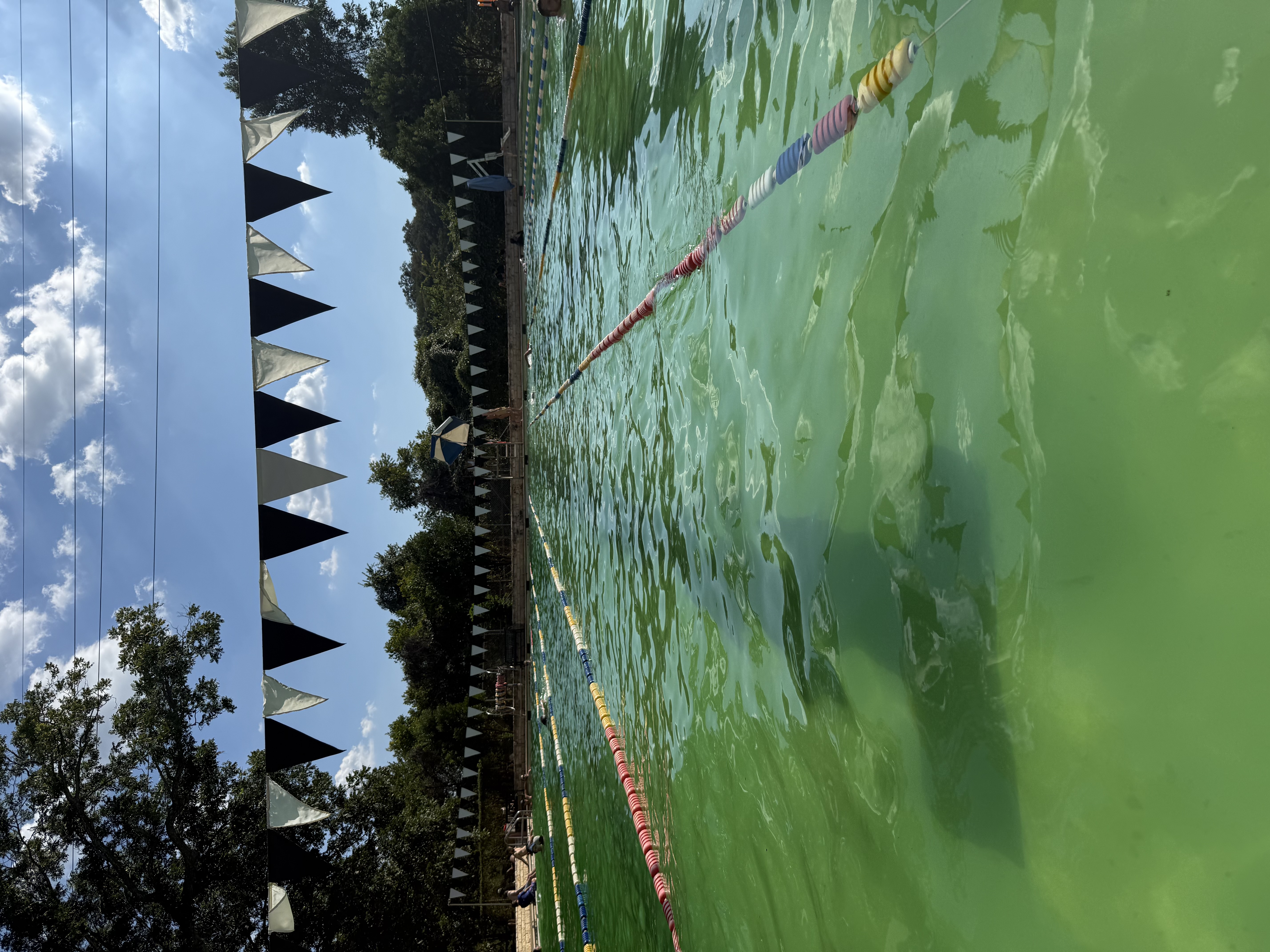 Evening 4 miles after Deep Eddy Pool photo 2