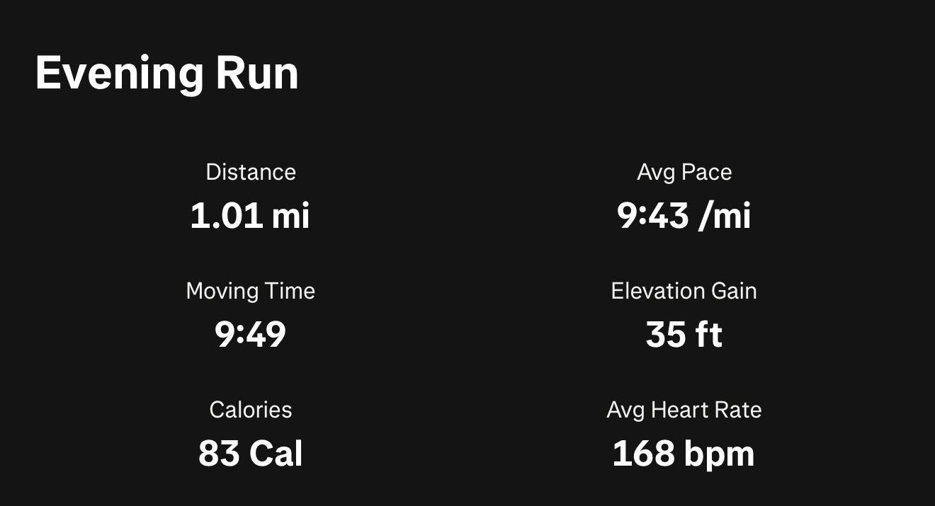 Evening Run pt 1